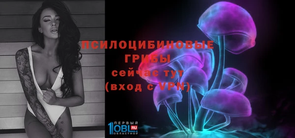 метадон Бородино