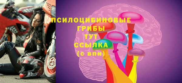 герыч Бронницы