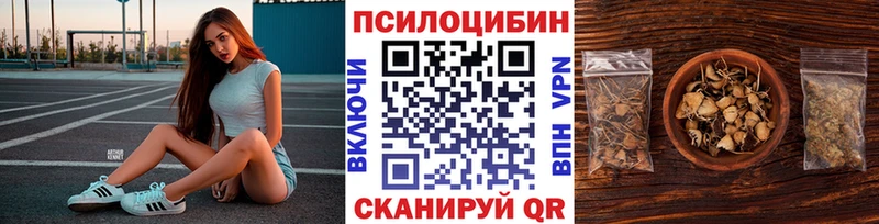 сколько стоит  Топки  hydra как войти  Псилоцибиновые грибы Magic Shrooms 