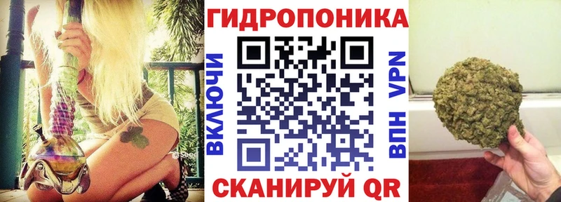 закладки  MEGA ТОР  МАРИХУАНА White Widow  Топки 